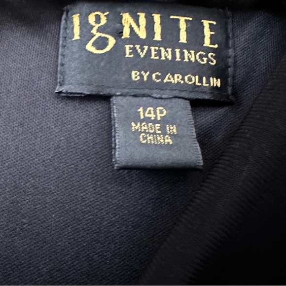 Ignite Evenings Black and Gray Embroidered Midi Dress, 14P - Picture 11 of 13